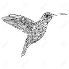 The spruce / wenjia tang take a break and have some fun with this collection of free, printable co. Hummingbird Coloring Page Royalty Free Cliparts Vectors And Stock Illustration Image 90834192