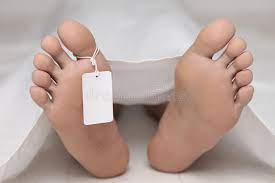 Thus these events, a train arrives, doors open and passengers climb out, a woman runs past holding a small child's hand, a man with a bundle walks after them, provide only the barest markers of narrative. 121 Morgue Feet Photos Free Royalty Free Stock Photos From Dreamstime