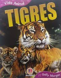 Zoology career beautiful creatures animals beautiful beautiful images baby animals cute animals. Tigres Colecao Vida Animal Sally Morgan 0 9788538007067 Amazon Com Books