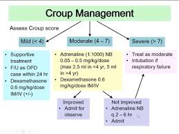 Image result for Croup Score