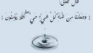 ما هي أهمية الماء موضوع