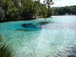 Our seasonal and returning guests enjoy the quiet family atmosphere of silver springs. Silver Glen Springs Florida So Hot Here Ready To Jump In That 72 Degree Water Florida Springs Florida Adventures Florida Travel