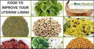 Foods Which Help To Improve Your Uterine Lining