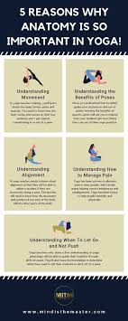 Any yoga teacher training includes philosophy and technique, ethics and practice, anatomy and physiology, as well as work on meditative approaches and the broader quest for expanding. 5 Reasons Why Anatomy Is So Important In Yoga Mind Is The Master