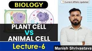 Plant cell and animal cell upsc. General Science Biology L 6 Plant Cell Vs Animal Cell Upsc Mppsc Uppsc Nda Cds Bpsc Jpsc Youtube