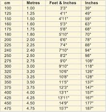 Cm To Inches Or Centimeters To Inches You Can Easily Convert Here Inch Converter Converter Centimeters