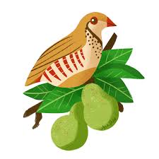 12 days of christmas clipart. 12 Days Of Christmas Ann Shen Illustration Design