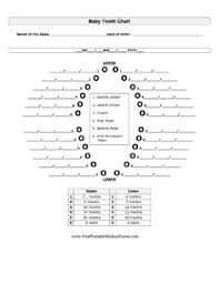 19 Best Baby Tooth Chart Images Tooth Chart Chart Teeth