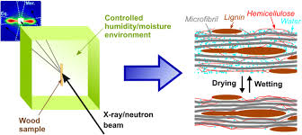 Maybe you would like to learn more about one of these? Moisture Related Changes In The Nanostructure Of Woods Studied With X Ray And Neutron Scattering Springerlink