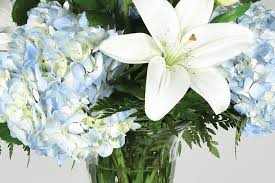 Obituary for Joyce Bivens-Ayers