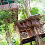 Jungle Jive Tree House Munnar from www.google.com