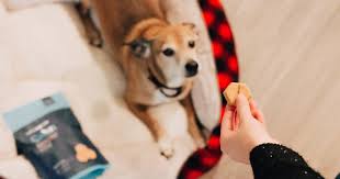 This is a series of key terms and concepts for basic behavior principles and behavior change. What Is Behavior Modification And How Can It Help You Change Talkspace