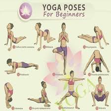 Who Loves Yoga Yoga Yoga Life Yoga Poses For Beginners