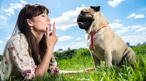 Mountain goat. adoption of jael and variants as girls' names in 2018 was 17% more than 10 years ago. 213 Of The Best Pug Names That Start With J You Will Love
