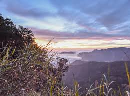 甜宠分类频道页-橙光·互动阅读新方式-66RPG-无限可能