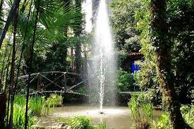 Andre Heller Botanic Garden Botanical Gardens Lake Garda Riviera