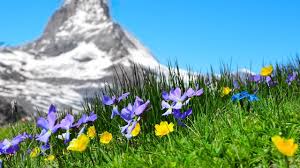 10 Hours Of Relaxing Music Piano Music Massage Music Study Music Helen Youtube