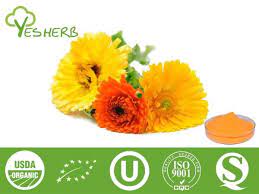 Pin On Products