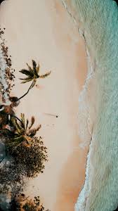 Good days , -, -, -, -, -, -, #videography #cinema #cinematic #photography  #travel #adventure #wanderlust #surf #beach #ocean #nature #oahu #hawaii