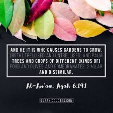 رعد محمد الكردي | raad mohammad al kurdi. Quranic Quotes 306 The Quran 06 141 Surah Al An Am Eat Of The