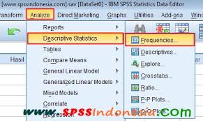 Salah satu fungsi statistika adalah menyajikan data. Cara Membuat Tabel Distribusi Frekuensi Dan Statistik Deskriptif Dengan Spss Spss Indonesia