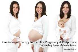 Pin On Craniosacral Therapy