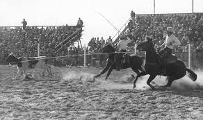 Image result for White 1972 Roper