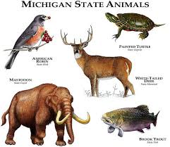 Michigan State Animals Poster Print Etsy In 2021 Animals Animal Posters Animals Wild