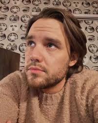 Soft 🐻 . . . #liampayne #louistomlinson #harrystyles #niallhoran  #zaynmalik #onedirection #liam #payne #liamquoted #lp1 #1d #thelpshow  #firsttimeEP #stripthatdown #getlow #foryou #remember #payno #lilo #niam  #lirry #ziam #familiar #alliwant #liveforever