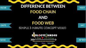 Check spelling or type a new query. Difference Between Food Chain And Food Web Food Chain Vs Food Web