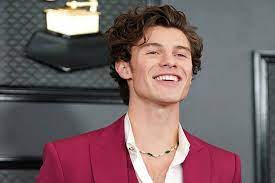 Life of the party merupakan single pertama yang dikeluarkan oleh shawn mendes pada 2014. Besok Shawn Mendes Rilis Lagu Dan Siapkan Album