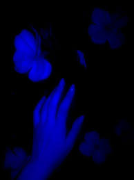 Pinterest Vaveylaxq Fotos Azules Estetica Azul Cosas Azules