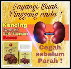 Elakkan sup segera atau makanan sejuk beku yang tinggi sodium kurangkan perasa. Makanan Untuk Pesakit Buah Pinggang Bocor