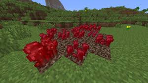 I tired for 30 mins i am making a potato farm, i need know how long it takes so i can make a infini potato farm. Types Of Plants You Can Farm In Minecraft Dummies