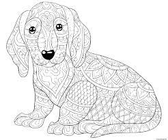 Imprimer image noir&blanc et coloriez ce dessin anti stress. Mandala A Imprimer Gratuit Chien