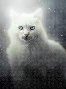 White Cat Pet Sympathy Spiral Notebook by Doreen Erhardt