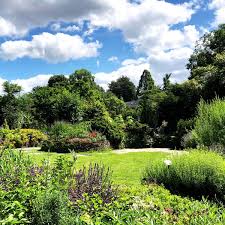 Wasser Im Garten Ist Kostbar Gartencentrum Scheid