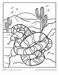 They are used by roadrunners for nesting, and also provide a home for desert tortoises. 39 Desert Biome Ideas Desert Biome Biomes Biomes Project