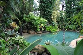 Tropical Garden Image Gallery Dennis Hundscheidt Backyard Pool Landscaping Pool Landscaping Tropical Pool Landscaping