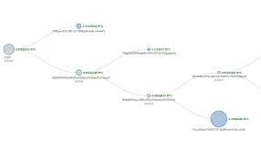 Anybody can see the balance and all bitcoin transfers executed by any address. Tracking Your Transaction In The Bitcoin Block Explorer By Anycoin Direct Medium