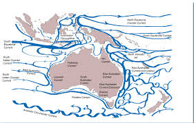 These are the mainland states of victoria, new south wales and queensland, and the island state of tasmania; 1 4 Variability In Ocean Currents Around Australia Imos Ocean Report