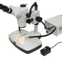 Microscopy Illuminators