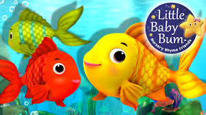 We did not find results for: Preschool Fish Theme Activities Fantastic Fun Learning