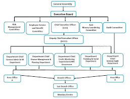 Organizational Structure