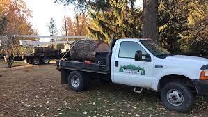 16,000 vehicles travel on sand point way ne each weekday and many bus routes serve the. Bestway Tree Service Home Facebook