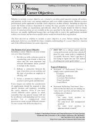 Mortgage Processor Resume Objective | Dadaji.us