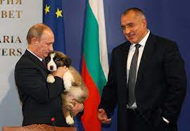 4.7 out of 5 stars. Putin S Puppy Csmonitor Com