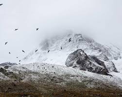 ヘンリー塚本 - Fc2-ppv-4547256