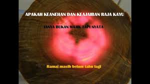 Menguak khasiat kayu gaharu asli. Kiosk Batu Cincin Kayu Dengan Khasiatnya Yang Semulajadi Bhg 1 By Neik Izam