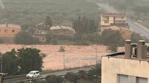 Maria fernanda silva maziero pelada